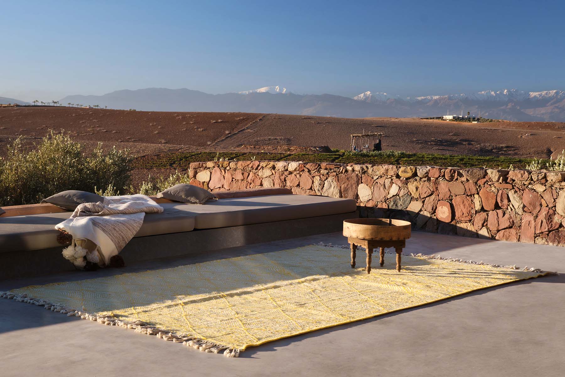 Dama in citron - Image 20