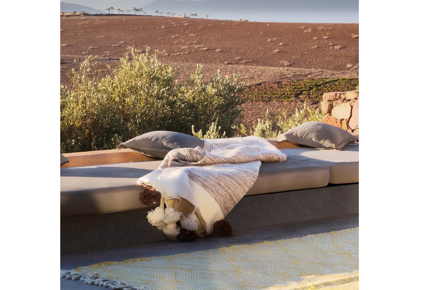 Dama in citron - Image 3